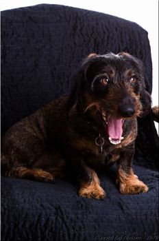 200415 0010