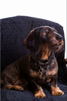 200415 0011
