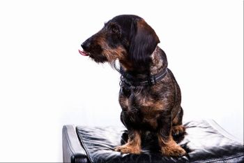 200417 0027