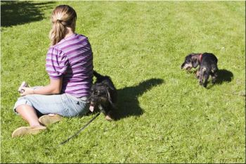 Crw 5259x