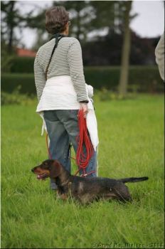 Mg1068
