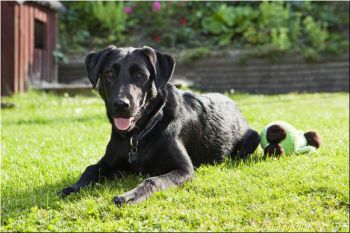 120727 0012