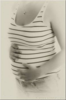 120802 0024ssoftpsep