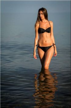 200814 0146vig