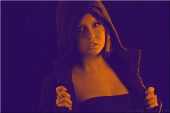 101028 0434elegantviolet