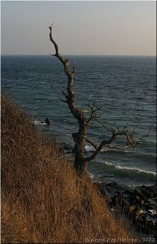 Img 0978x