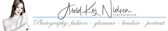 arvidnielsen logo 2015 543x100