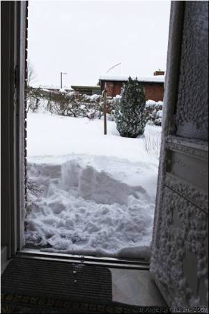 Janus 19 - 17.12.2009