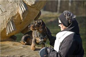 Janus 14 - 17.03.2009